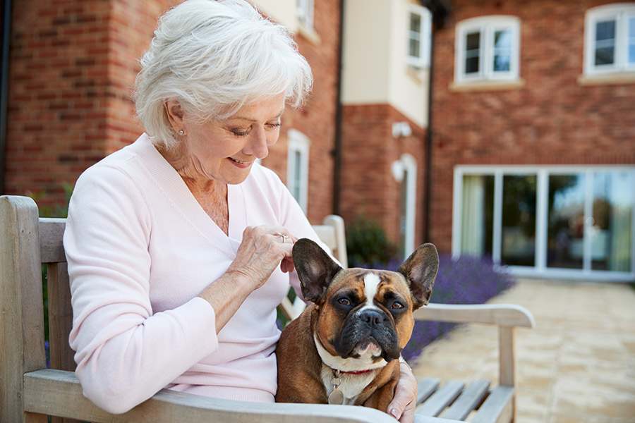 Types Of Long Term Care Facilities Slate Disharoon Parrish And Associates