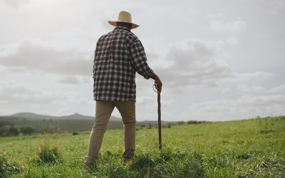 Retirement Success Story | Retired at 55